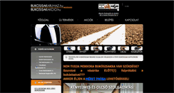 Desktop Screenshot of bukosisakakcio.hu